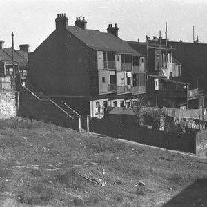 Meet your Posher, Patty